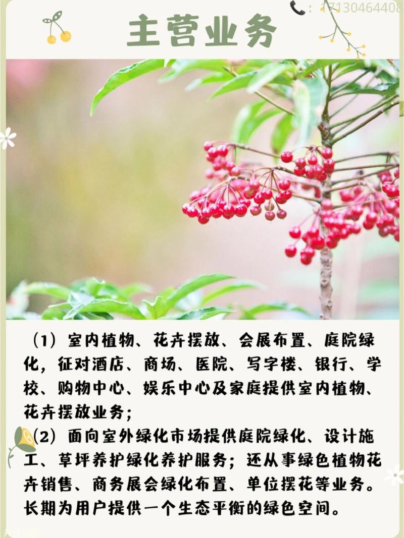 朱砂根怎么养？朱砂根怎么养护？-第4张图片-优品飞百科