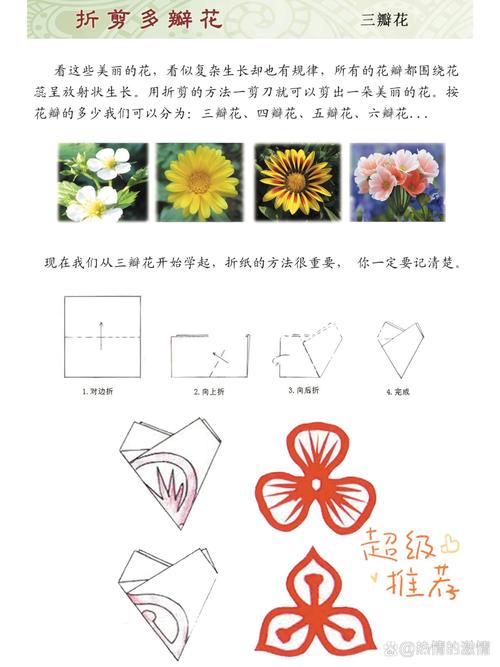 月季杜鹃这么剪？杜鹃花剪枝怎么剪视频？-第2张图片-优品飞百科