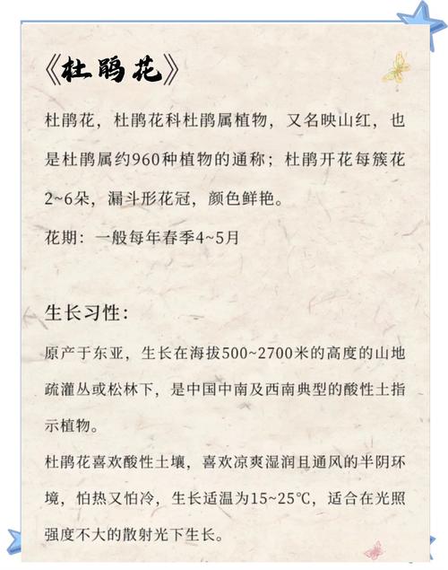 月季杜鹃这么剪？杜鹃花剪枝怎么剪视频？-第7张图片-优品飞百科