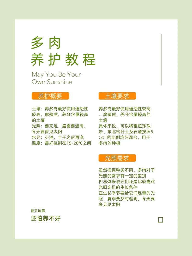 黑王子多肉怎么养，多肉中的黑王子有哪些特点？-第4张图片-优品飞百科