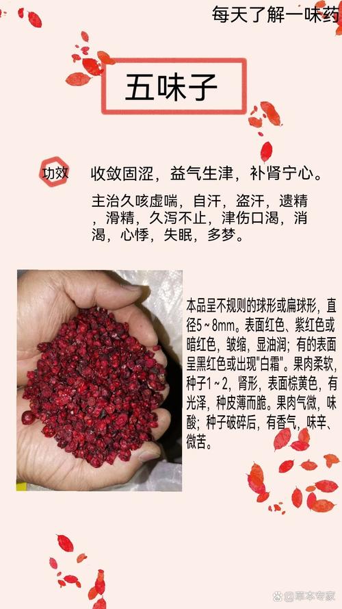 五味子怎么种，五味子怎么种植,怎么修剪-第4张图片-优品飞百科