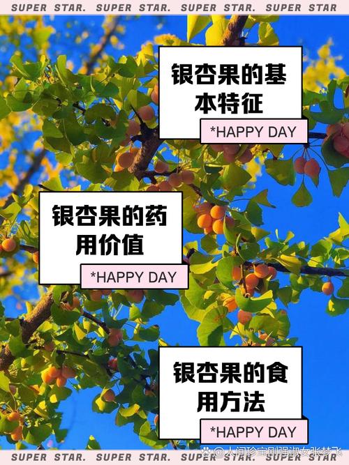 银杏树多少年开花结果，银杏树几年可以结果呢?？-第5张图片-优品飞百科
