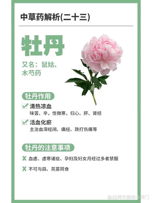 牡丹换盆什么季节，牡丹啥时候换盆-第4张图片-优品飞百科