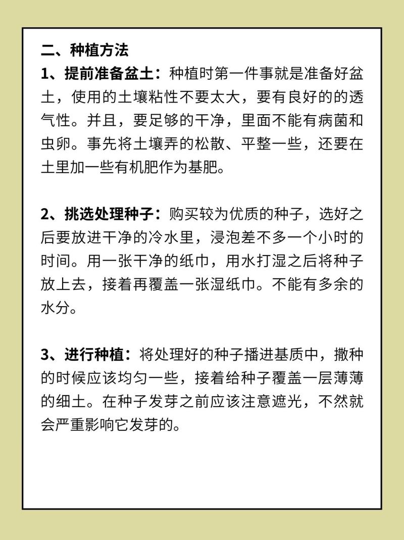 勿忘我花籽什么时候种？勿忘我花种植技术？-第5张图片-优品飞百科