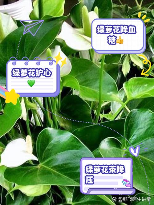 绿萝水很脏怎么打理？绿萝的水发黄怎么办？-第2张图片-优品飞百科