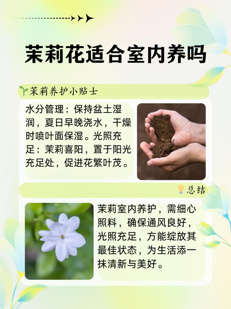 茉莉怎么养才长得好,茉莉怎么养家庭养法?-第3张图片-优品飞百科 茉莉怎么养才长得好,茉莉怎么养家庭养法?-第3张图片-优品飞百科