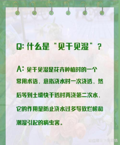 盆栽见干见湿和干透浇透，花卉浇水见干见湿的原则有个什么标准