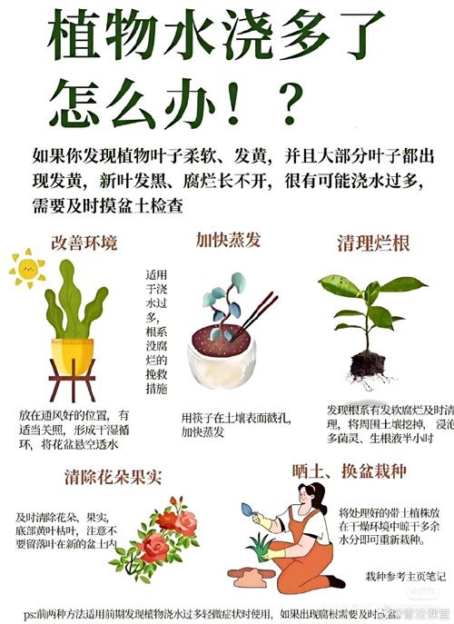 盆栽见干见湿和干透浇透，花卉浇水见干见湿的原则有个什么标准-第4张图片-优品飞百科