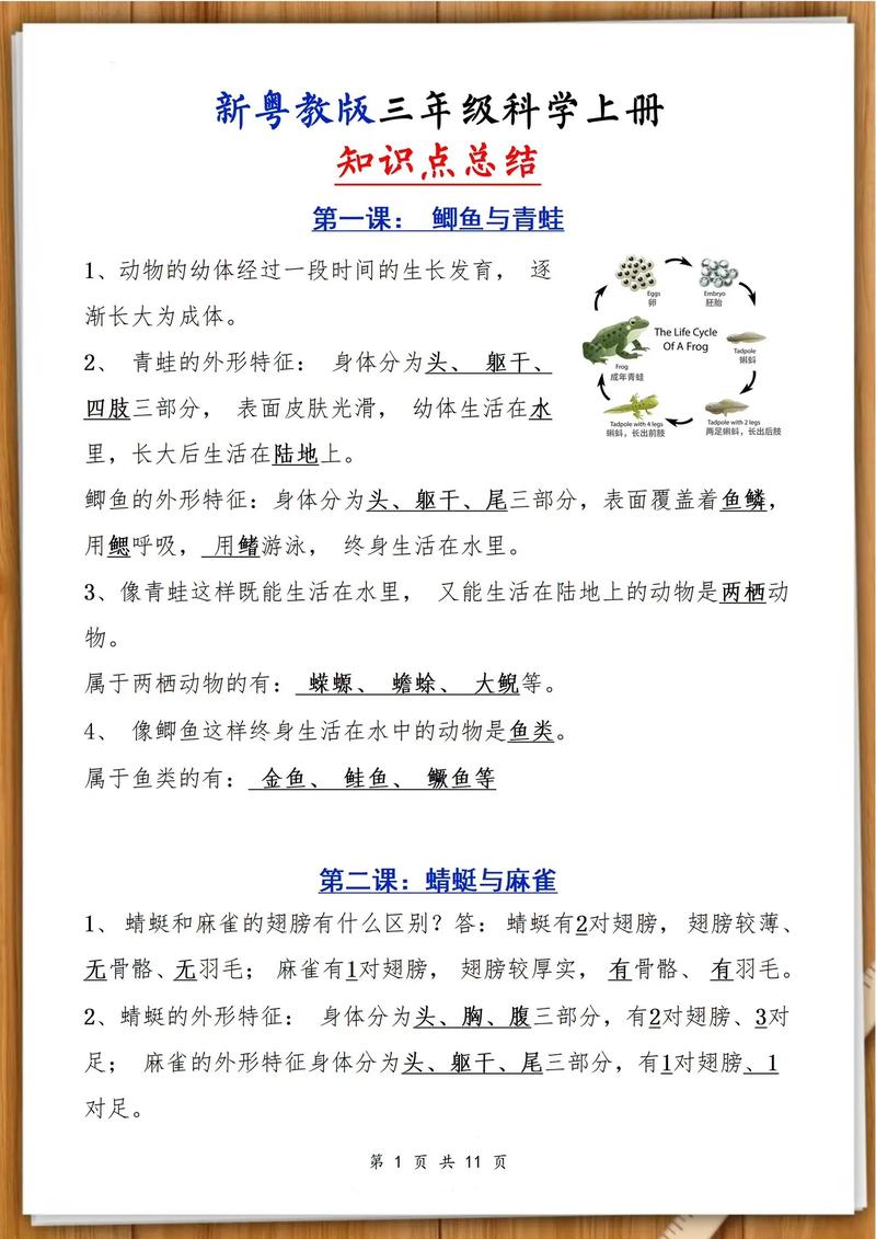 1根橡皮筋1个菜篮子，一根橡皮筋有多重？-第6张图片-优品飞百科