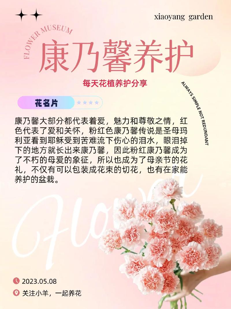 盆栽康乃馨怎么养，盆栽康乃馨养护的正确方法？-第5张图片-优品飞百科