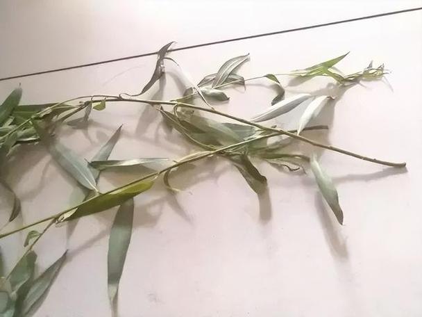 这“3种”东西路边捡点，路边捡到的东西,算犯法-第3张图片-优品飞百科