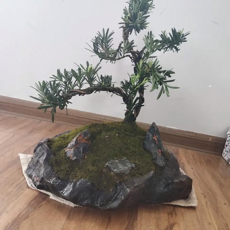 这“3种”东西路边捡点，路边捡到的东西,算犯法-第5张图片-优品飞百科