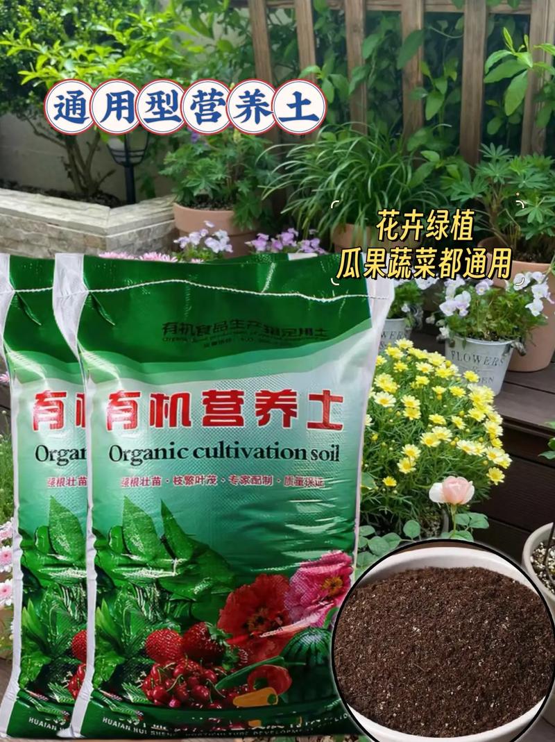 这“3种”东西路边捡点，路边捡到的东西,算犯法-第7张图片-优品飞百科