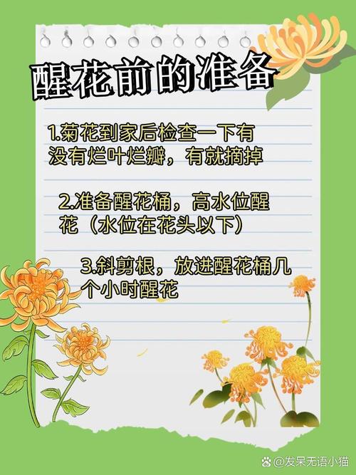 怎么养护菊花?怎么养护菊花盆栽?-第6张图片-优品飞百科 怎么养护菊花?怎么养护菊花盆栽?-第6张图片-优品飞百科