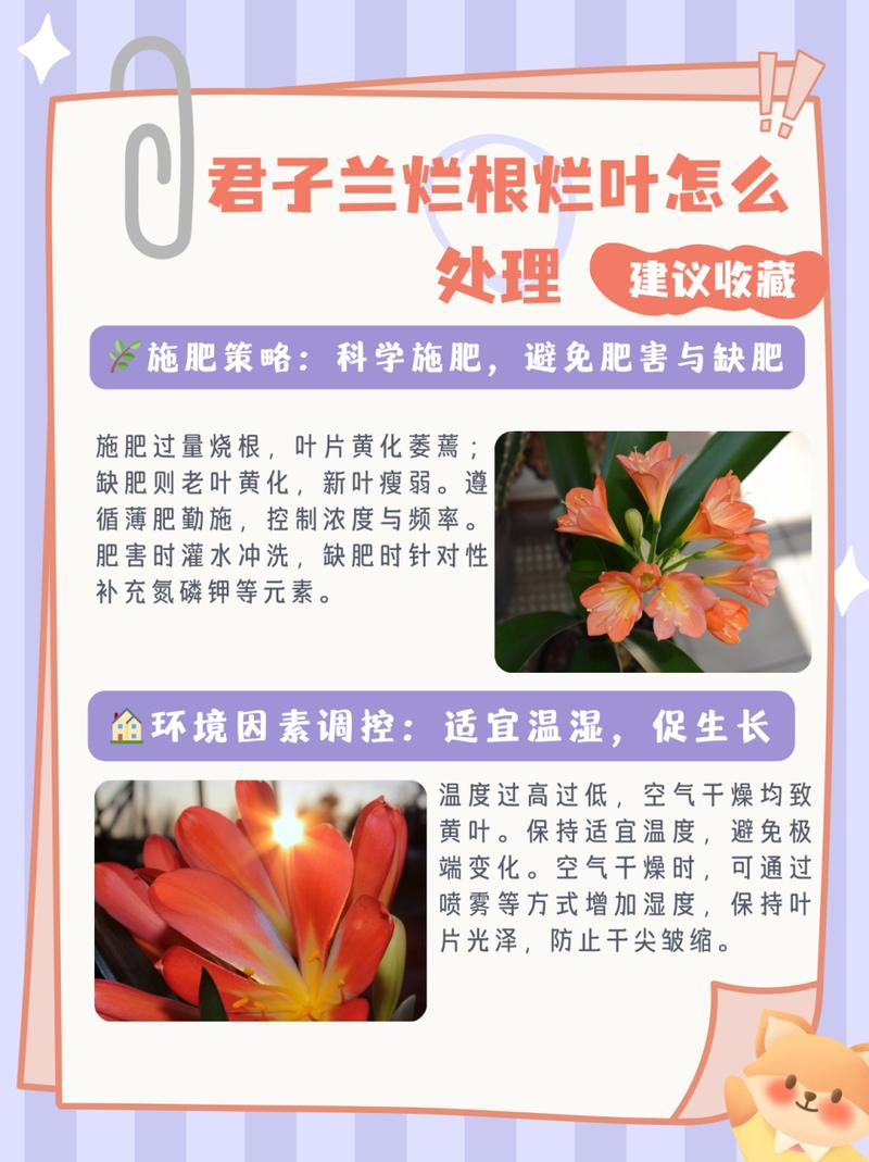 绿萝君子兰···从烂根到爆盆，绿萝和君子兰？-第5张图片-优品飞百科
