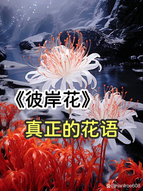 彼岸花什么季节开花，彼岸花在什么时间开花-第7张图片-优品飞百科