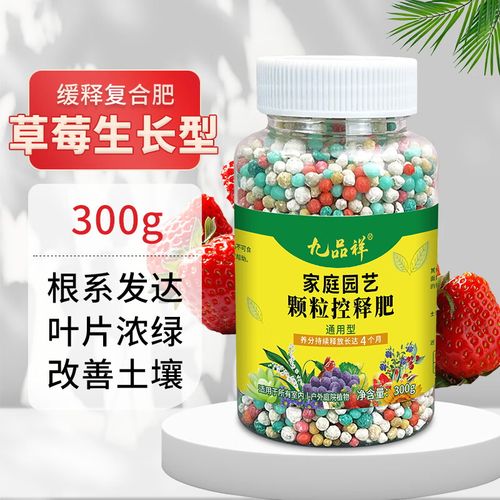 盆栽草莓施多少肥？盆栽草莓的施肥技术？-第2张图片-优品飞百科