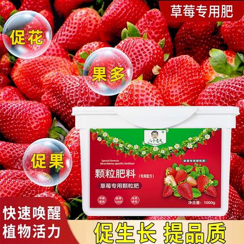 盆栽草莓施多少肥？盆栽草莓的施肥技术？-第7张图片-优品飞百科