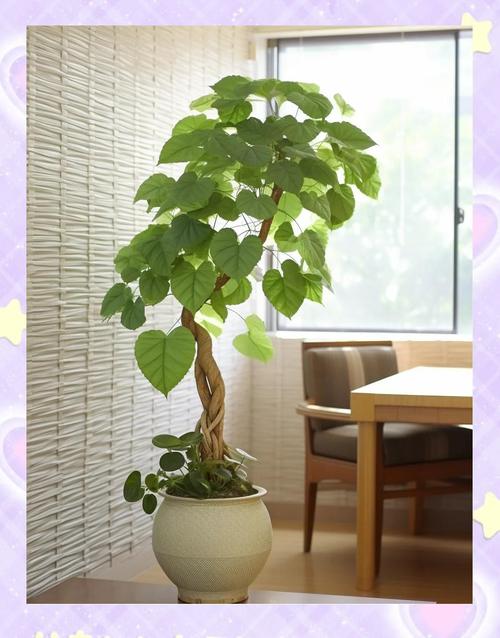 盆栽榕树冬天怎么养，榕树盆栽怎么过冬？-第6张图片-优品飞百科
