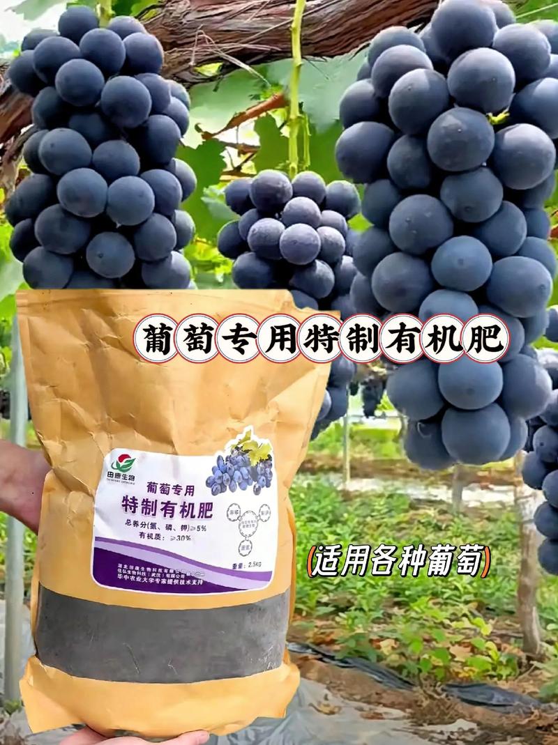 葡萄开春后如何管理，葡萄开春后如何管理枝条？-第5张图片-优品飞百科