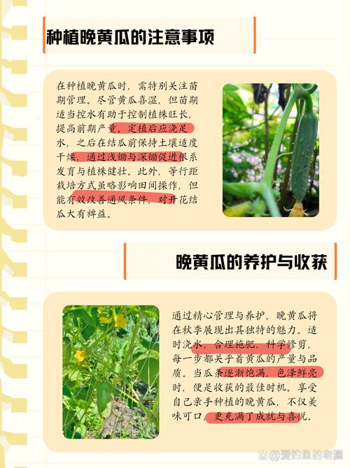 黄瓜几月份种？广东黄瓜几月份种？-第2张图片-优品飞百科