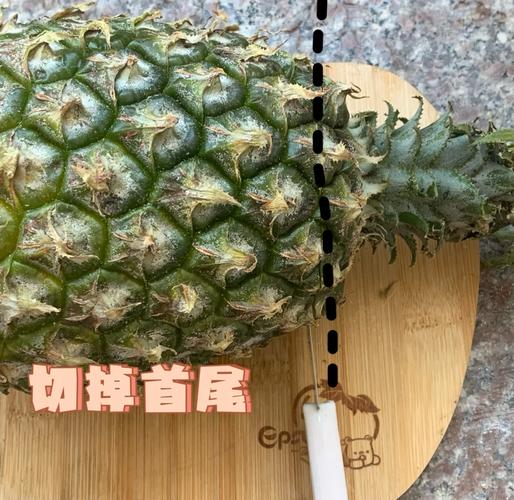 菠萝花切掉的头怎么养，菠萝鲜切花养护