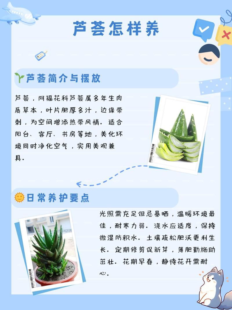 芦荟什么时候分株，芦荟什么时候分株合适？-第3张图片-优品飞百科