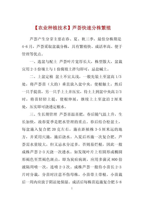 芦荟什么时候分株，芦荟什么时候分株合适？-第5张图片-优品飞百科