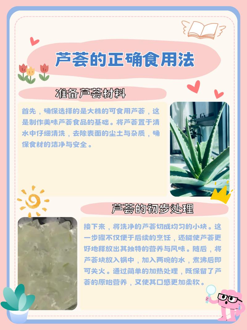 芦荟什么时候分株，芦荟什么时候分株合适？-第7张图片-优品飞百科