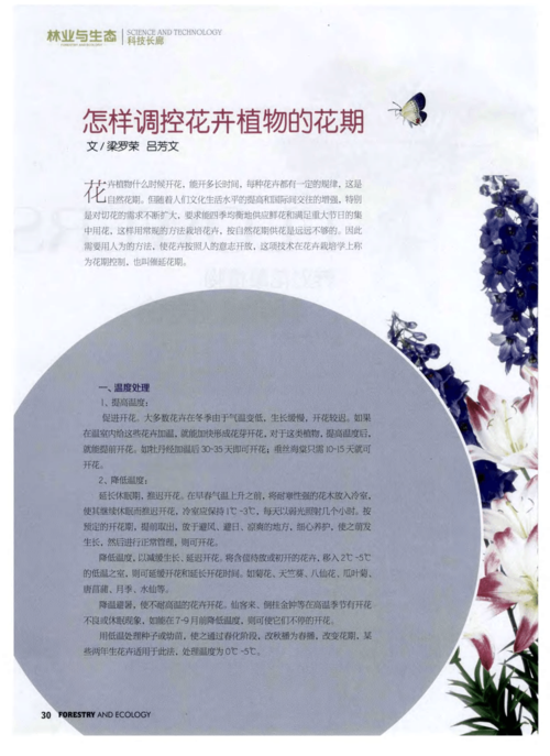 如何使山茶花在元旦开花?山茶花要怎么样?-第5张图片-优品飞百科 如何使山茶花在元旦开花?山茶花要怎么样?-第5张图片-优品飞百科