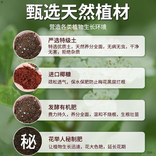 吊兰施什么肥料长得好，吊兰施啥肥好