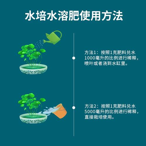 吊兰施什么肥料长得好，吊兰施啥肥好-第2张图片-优品飞百科