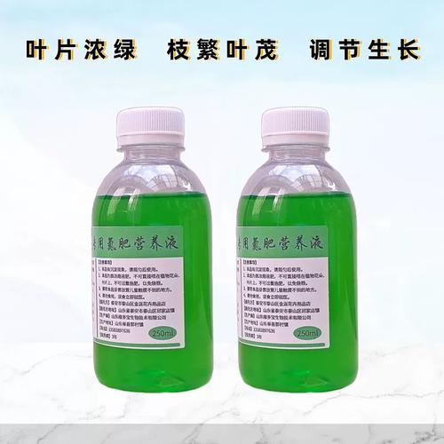 吊兰施什么肥料长得好，吊兰施啥肥好-第4张图片-优品飞百科
