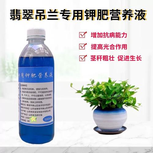 吊兰施什么肥料长得好，吊兰施啥肥好-第5张图片-优品飞百科
