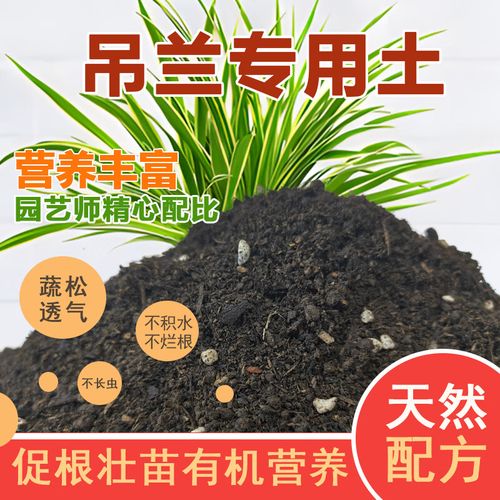吊兰施什么肥料长得好，吊兰施啥肥好-第7张图片-优品飞百科