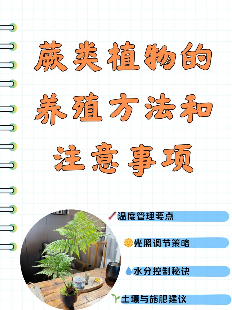 蒲葵树怎么种植，蒲葵树种子有什么药用？-第5张图片-优品飞百科