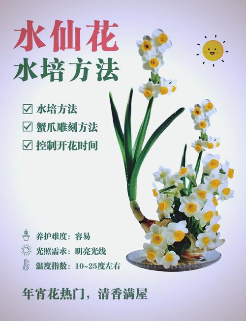 水仙多久换一次水,养水仙花要放多少水?-第3张图片-优品飞百科 水仙多久换一次水,养水仙花要放多少水?-第3张图片-优品飞百科