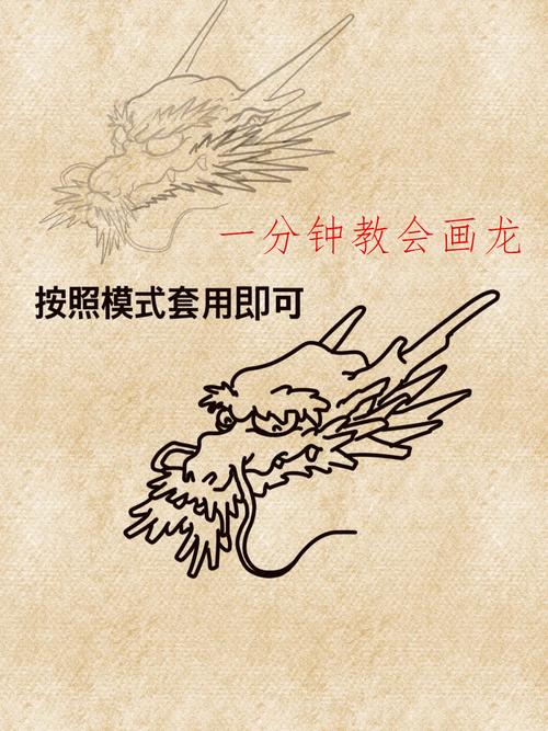 飞龙怎么换盆？飞龙怎么拆简单？