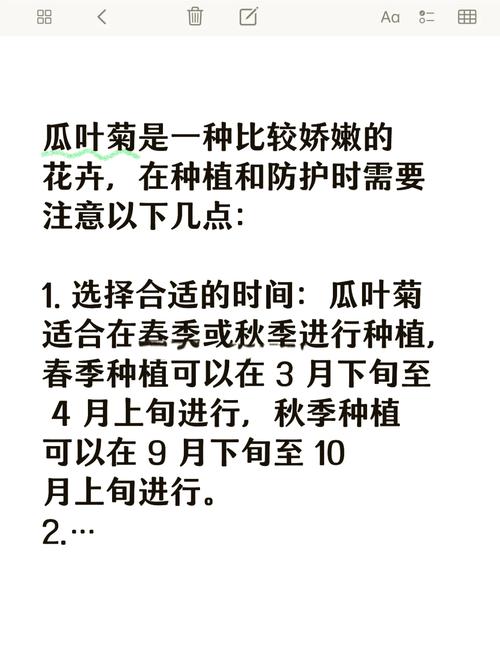 瓜叶菊种子怎么种植？瓜叶菊的种子长什么样子？-第2张图片-优品飞百科