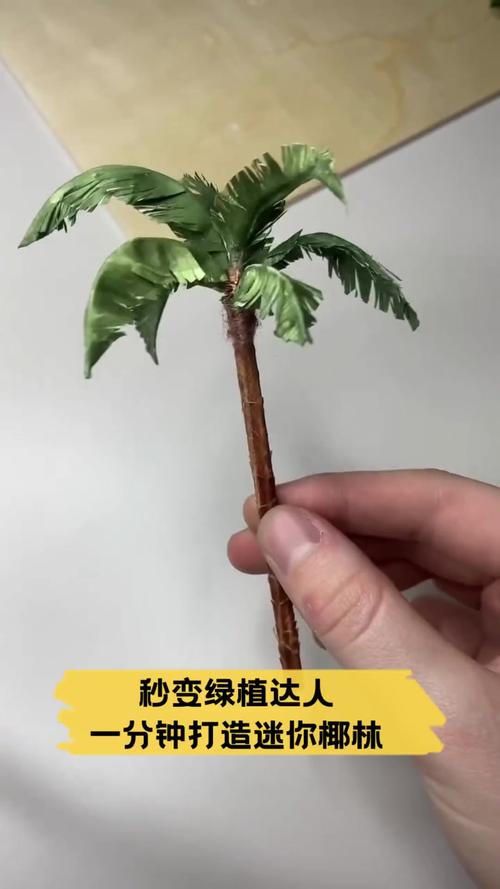 夏威夷椰子秋天怎么养，夏威夷椰子好养活吗