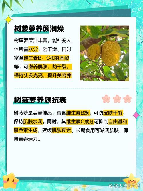 菠萝铁树夏天怎么养,菠萝铁树夏天怎么养护?-第2张图片-优品飞百科 菠萝铁树夏天怎么养,菠萝铁树夏天怎么养护?-第2张图片-优品飞百科