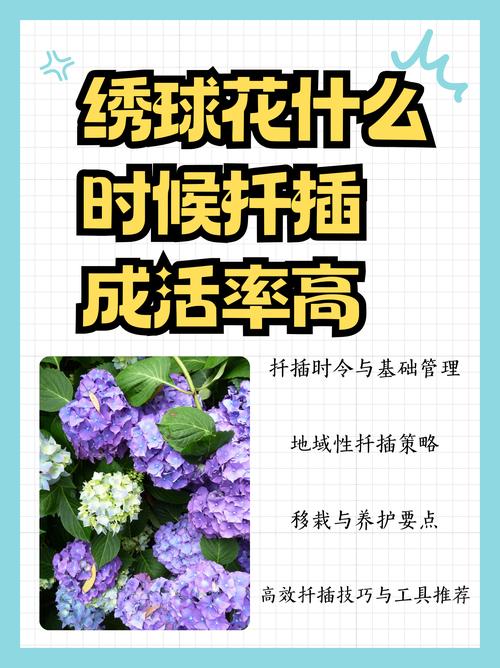 绣球花几月扦插？绣球花几月扦插成活率高？