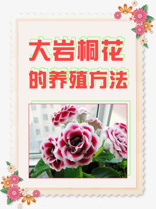 大岩桐怎么花开爆盆？大岩桐怎么养才能开花多？