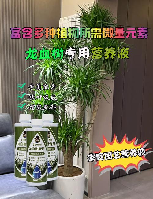 龙须海棠的扦插方法，龙须海棠的扦插方法视频-第8张图片-优品飞百科