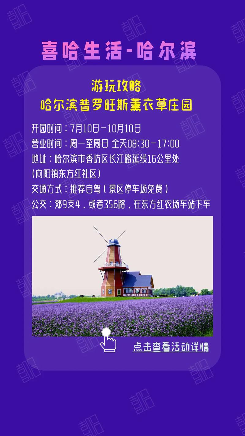 密花孔雀草怎么种?密花孔雀草怎么种植?-第2张图片-优品飞百科 密花孔雀草怎么种?密花孔雀草怎么种植?-第2张图片-优品飞百科