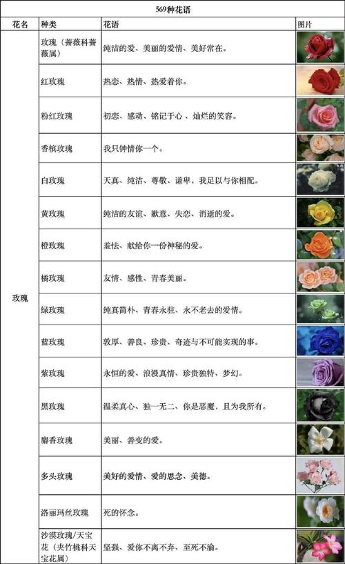 密花孔雀草怎么种?密花孔雀草怎么种植?-第4张图片-优品飞百科 密花孔雀草怎么种?密花孔雀草怎么种植?-第4张图片-优品飞百科