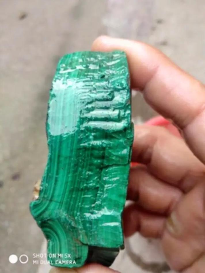 孔雀球播种方法,孔雀球播种方法有哪些-第2张图片-优品飞百科 孔雀球播种方法,孔雀球播种方法有哪些-第2张图片-优品飞百科