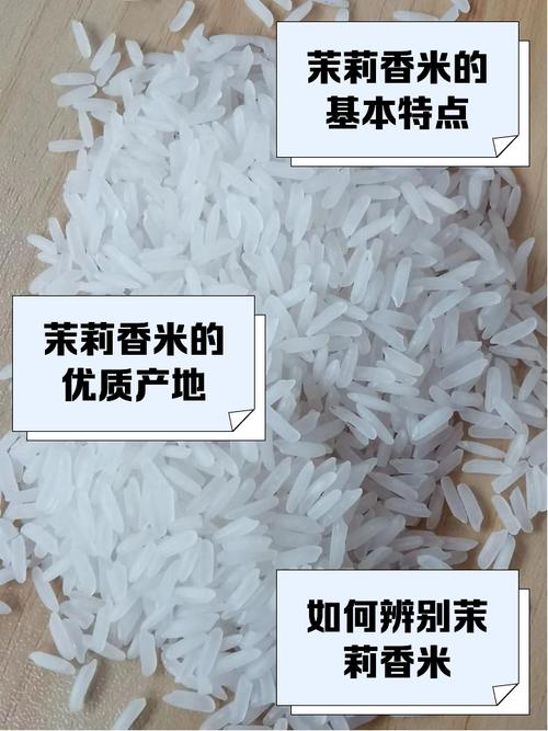 茉莉进锅煮一煮？茉莉用开水泡吗？-第5张图片-优品飞百科
