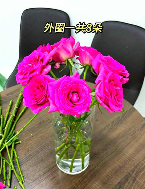 盆栽玫瑰花好养吗，盆栽玫瑰花可以养活多久？-第3张图片-优品飞百科