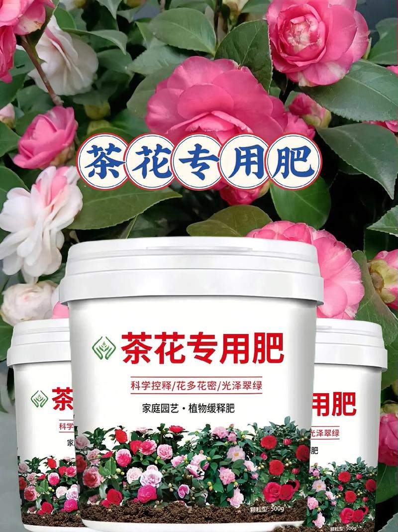 茶花用什么肥料好？兰花施什么肥好？